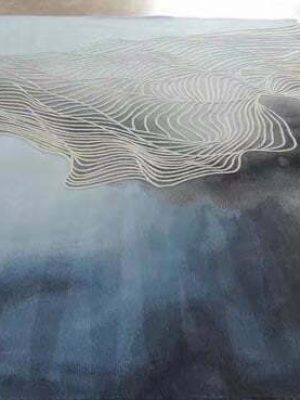 Hand Tufted Carpets